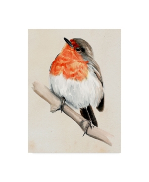 Trademark Global Jennifer Paxton Parker Little Bird On Branch Iv Canvas Art In Multi