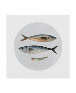 Trademark Global Emma Scarvey Three Fish I Canvas Art In Multi