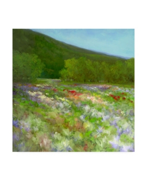 Trademark Global Sheila Finch Flowers Of Half Moon Bay Ii Canvas Art In Multi