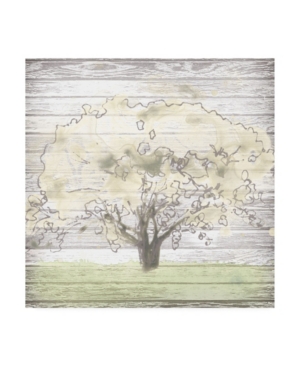 Trademark Global June Erica Vess Barn Tree I Canvas Art In Multi