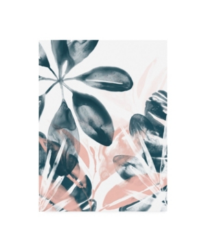 Trademark Global June Erica Vess Tropical Blush Plants I Canvas Art In Multi