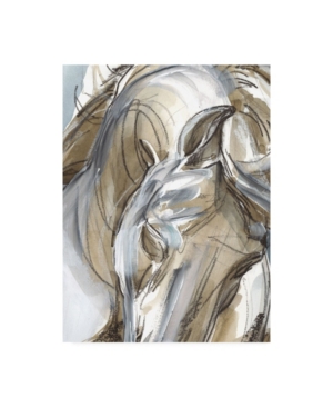 Shop Trademark Global Jennifer Paxton Parker Horse Abstraction I Canvas Art In Multi