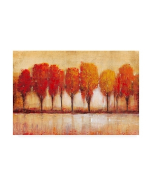 Trademark Global Tim Otoole Autumn Waters Edge Canvas Art In Multi