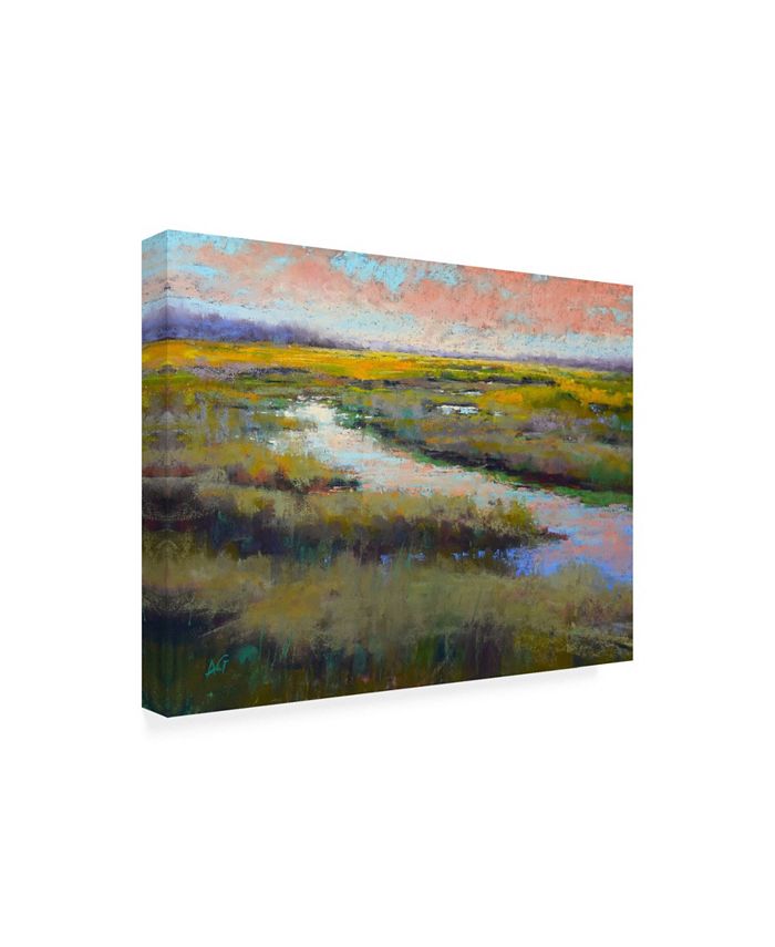 Trademark Global Alejandra Go A Glimmer on the Marsh Canvas Art - 19.5 ...