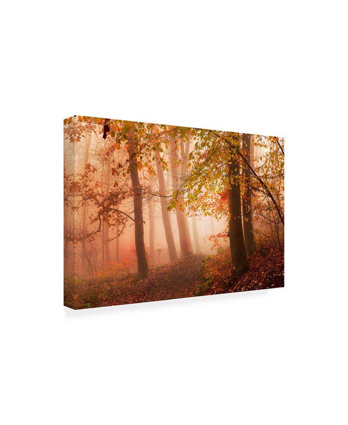 Trademark Global Leif Londal Calm Walk in Colors Canvas Art - 20