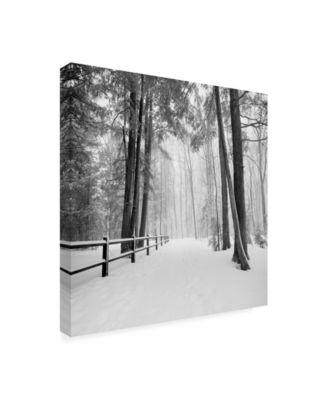 Trademark Global Monte Nagler Winters Path Canvas Art - 15" x 20"