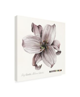 Trademark Global Grace Popp Lilium II Canvas Art - 20" x 25"
