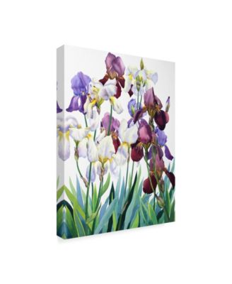 Christopher Ryland White and Purple Irises Canvas Art - 15" x 20"