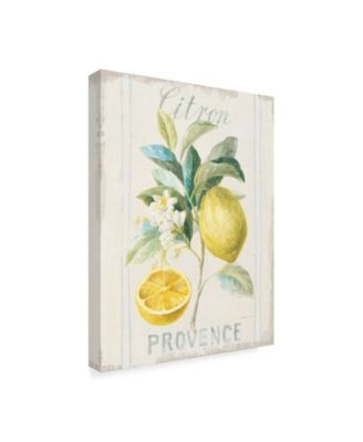 Danhui Nai Floursack Lemon IV Canvas Art - 20" x 25"