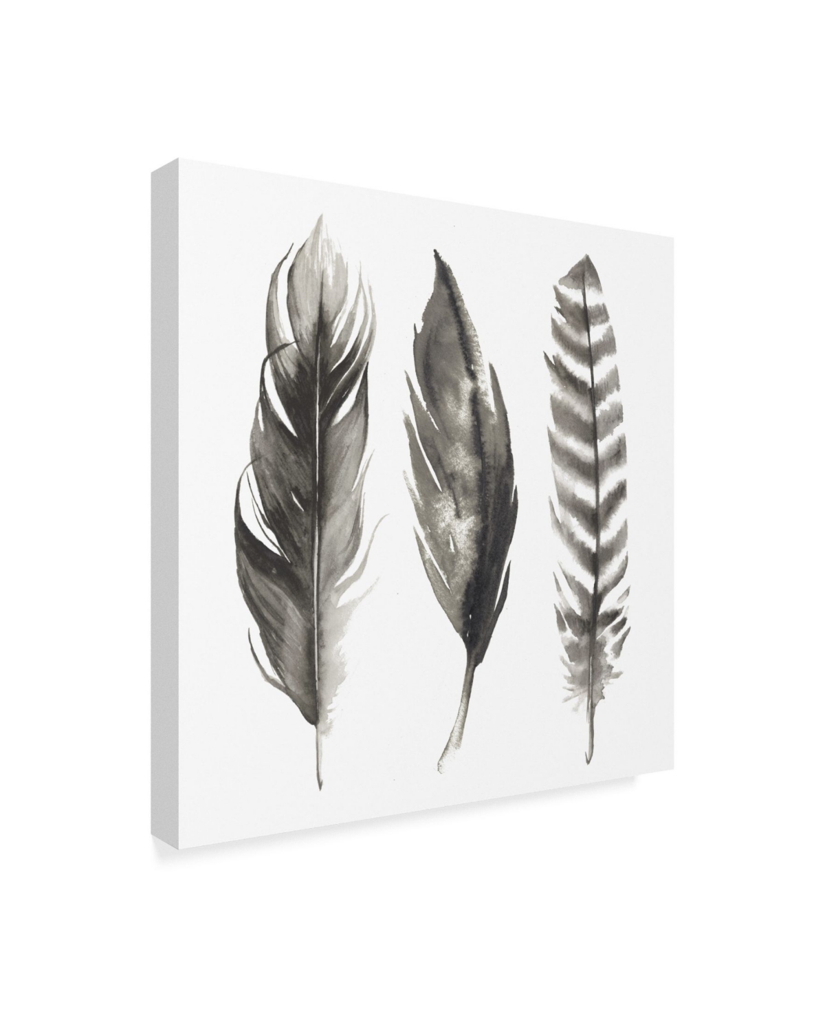 Grace Popp Watercolor Feathers I Canvas Art -