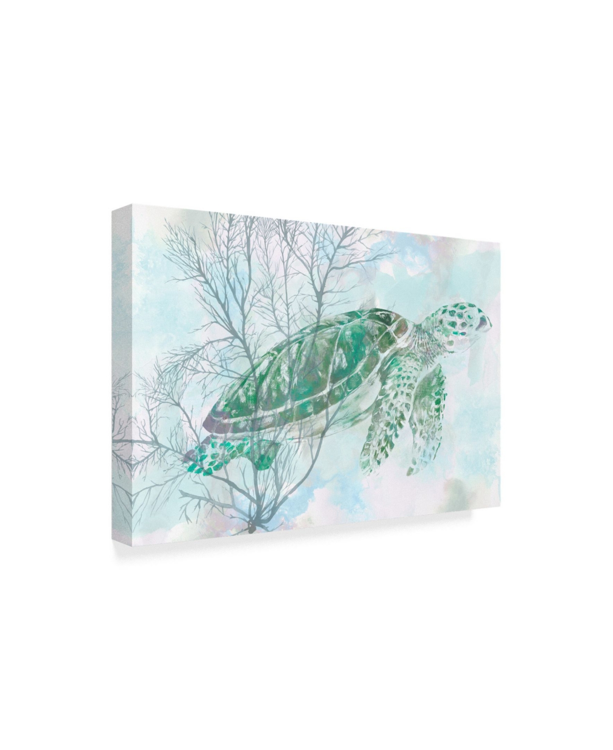 Studio W Watercolor Sea Turtle I Canvas Art -