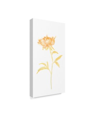 Trademark Global June Erica Vess Bouquet Blush II Canvas Art - 20" x 25"