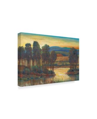 Trademark Global Tim Otoole Open Inlet I Canvas Art - 15" x 20"