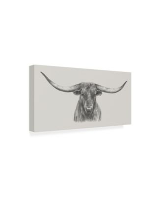 Ethan Harper Longhorn Bull Canvas Art - 37" x 49"