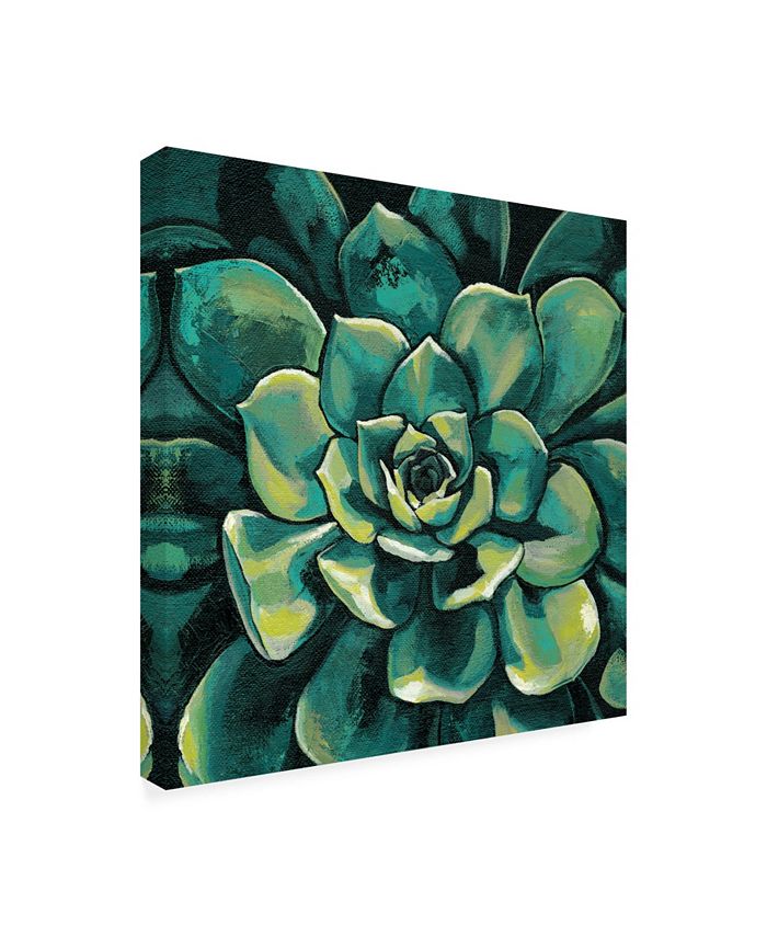 Trademark Global Megan Meagher Succulent Bloom I Canvas Art - 27