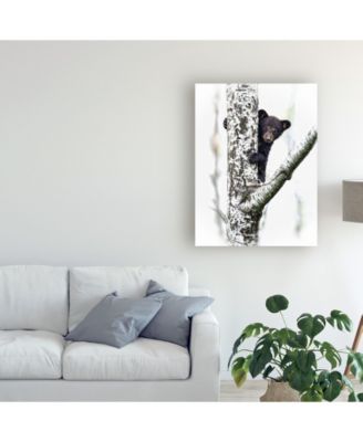 Trademark Global PH Burchett Bears at Play V Canvas Art - 20" x 25"