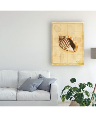 Trademark Global Pablo Esteban Shell Sketch Art 2 Canvas Art - 15.5" x 21"