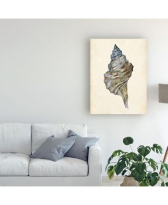 Trademark Global Melissa Wang Watercolor Seashell III Canvas Art - 19.5" x 26"