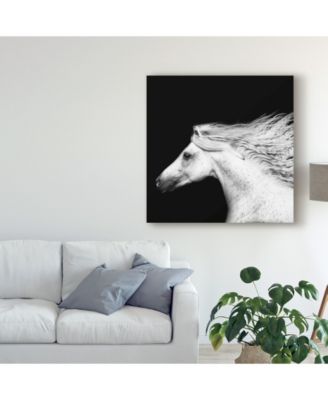 PH Burchett Black and White Horses V Canvas Art - 20" x 25"