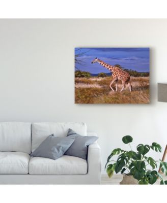 Trademark Global Pip Mcgarry Reticulated Giraffe Canvas Art - 20" x 25"