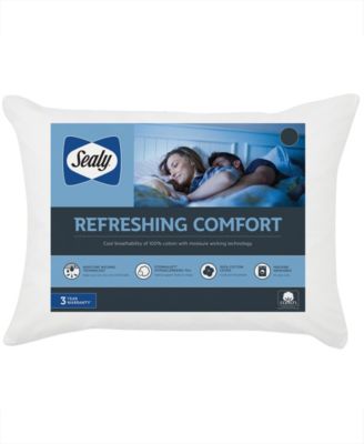 Sealy - Moisture Wicking 100% Cotton Standard/Queen Pillow