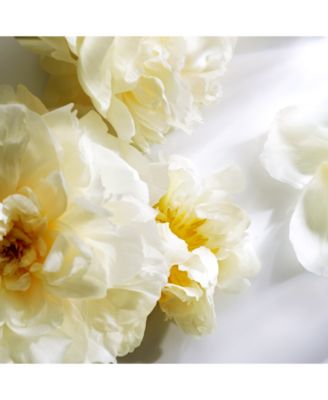 Michael Kors Wonderlust Eau Fresh Fragrance 3.4-oz. Spray