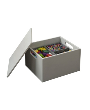 The Tidy Books Toy Storage Box for Small Toys