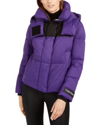 calvin klein purple coat