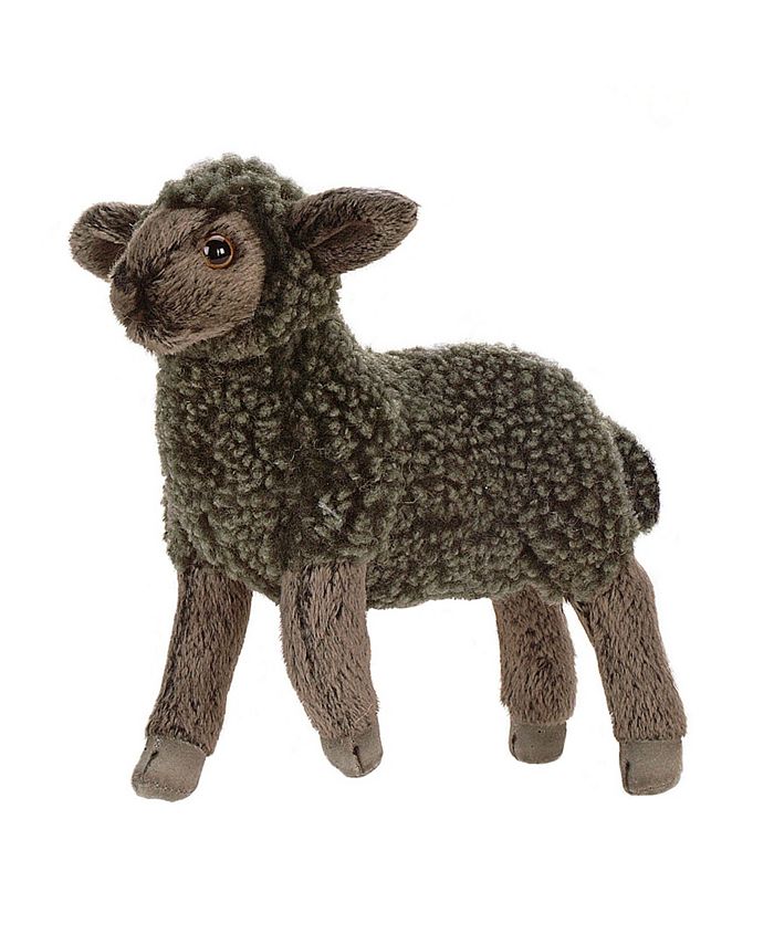 hansa lamb