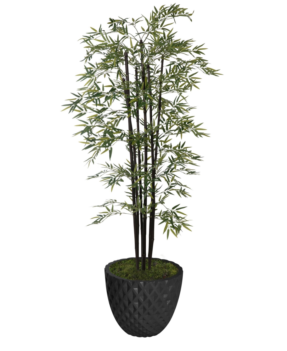 77.6" Tall Bamboo Tree With Decorative Black Poles and Fiberstone Planter - Green