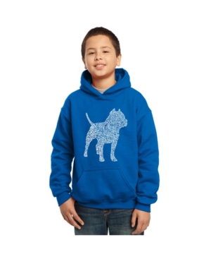 La Pop Art Boy's Word Art Hoodies - Pitbull