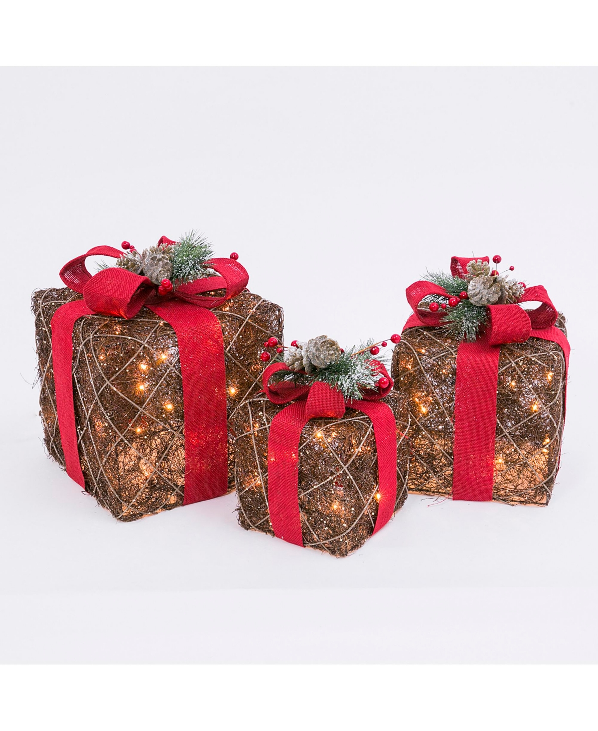 Assorted Electric Gift Boxes with Natural Vine with a Red Burlap Ribbon Accent - Set of 3 - Red