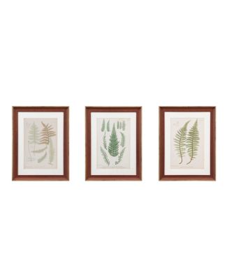 Martha Stewart Collection - Lady Fern Collection Single Mat Framed Graphic 3-Pc Set