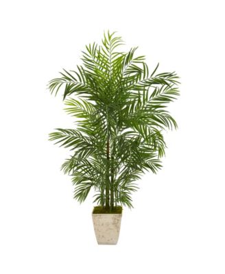 Nearly Natural - 63" Areca Artificial Palm Tree in Country White Planter UV Resistant Indoor/Outdoor
