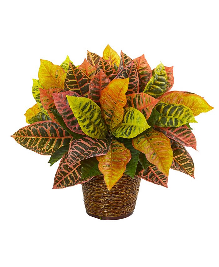 Nearly Natural - 17" Garden Croton Artificial Plant in Basket Real Touch