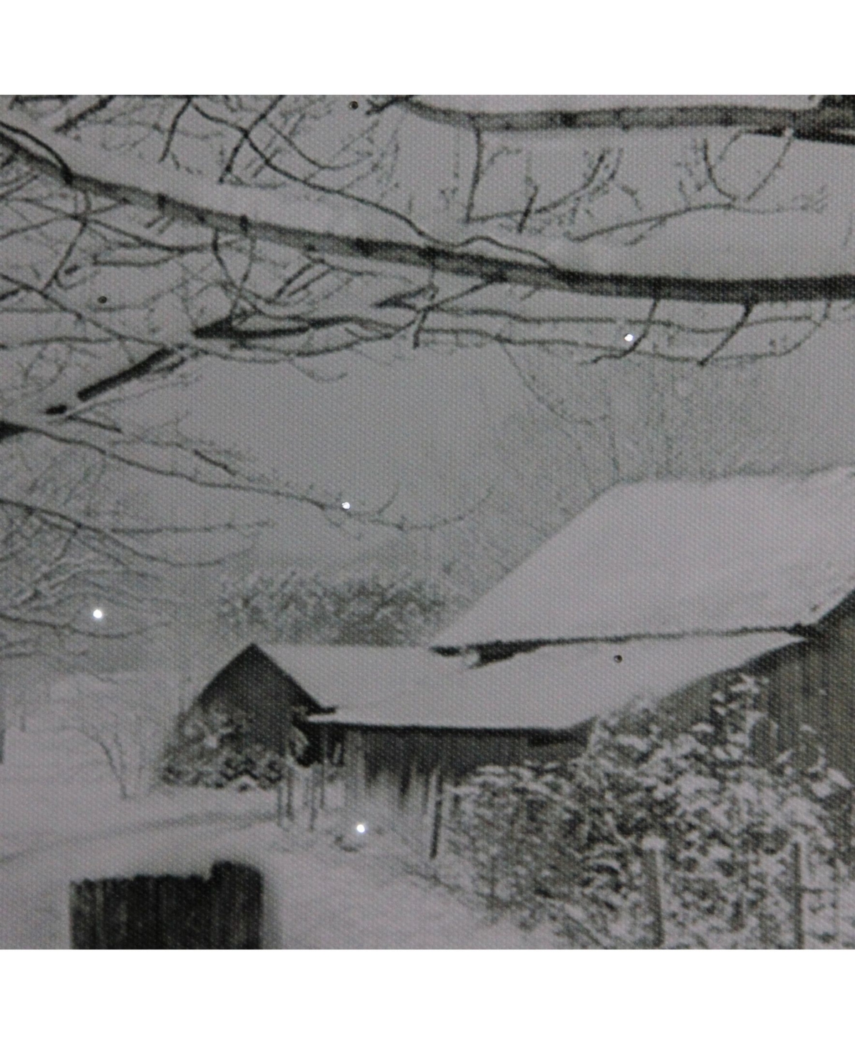 Northlight Large Fiber Optic Lighted Snowy Winter Cabin Canvas Wall Art, 15.75" X 23.5" In White