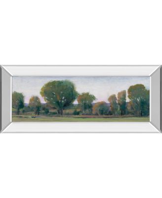 Panoramic Treeline Il by Tim Otoole Mirror Framed Print Wall Art - 18" x 42"