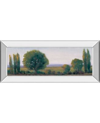 Panoramic Treeline I by Tim Otoole Mirror Framed Print Wall Art - 18" x 42"