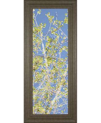 Spring Poplars Il by Sharon Chandler Framed Print Wall Art - 18" x 42"