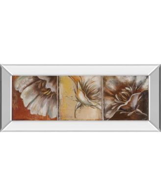 The Three Poppies Il by Patricia Pinto Mirror Framed Print Wall Art - 18" x 42"