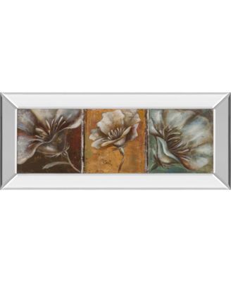 The Three Poppies I by Patricia Pinto Mirror Framed Print Wall Art - 18" x 42"