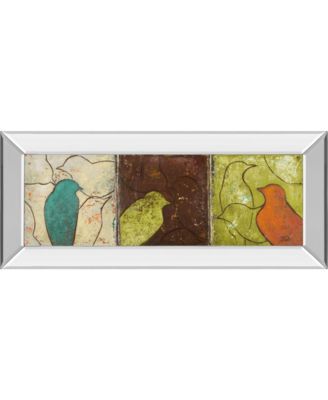 Lovely Birds Il by Patricia Pinto Mirror Framed Print Wall Art - 18" x 42"