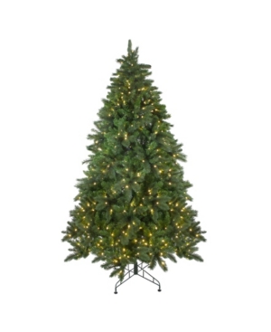 Northlight 75' Pre-Lit Mixed Scotch Pine Artificial Christmas Tree - Warm White Led Lights