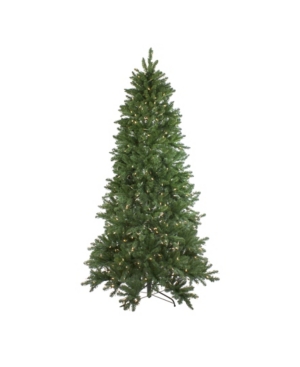 Northlight 6.5' Pre-lit Led Instant Connect Neola Fraser Fir Artificial Christmas Tree In Green