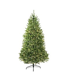 12' Pre-Lit Northern Pine Full Artificial Christmas Tree - Clear Lights