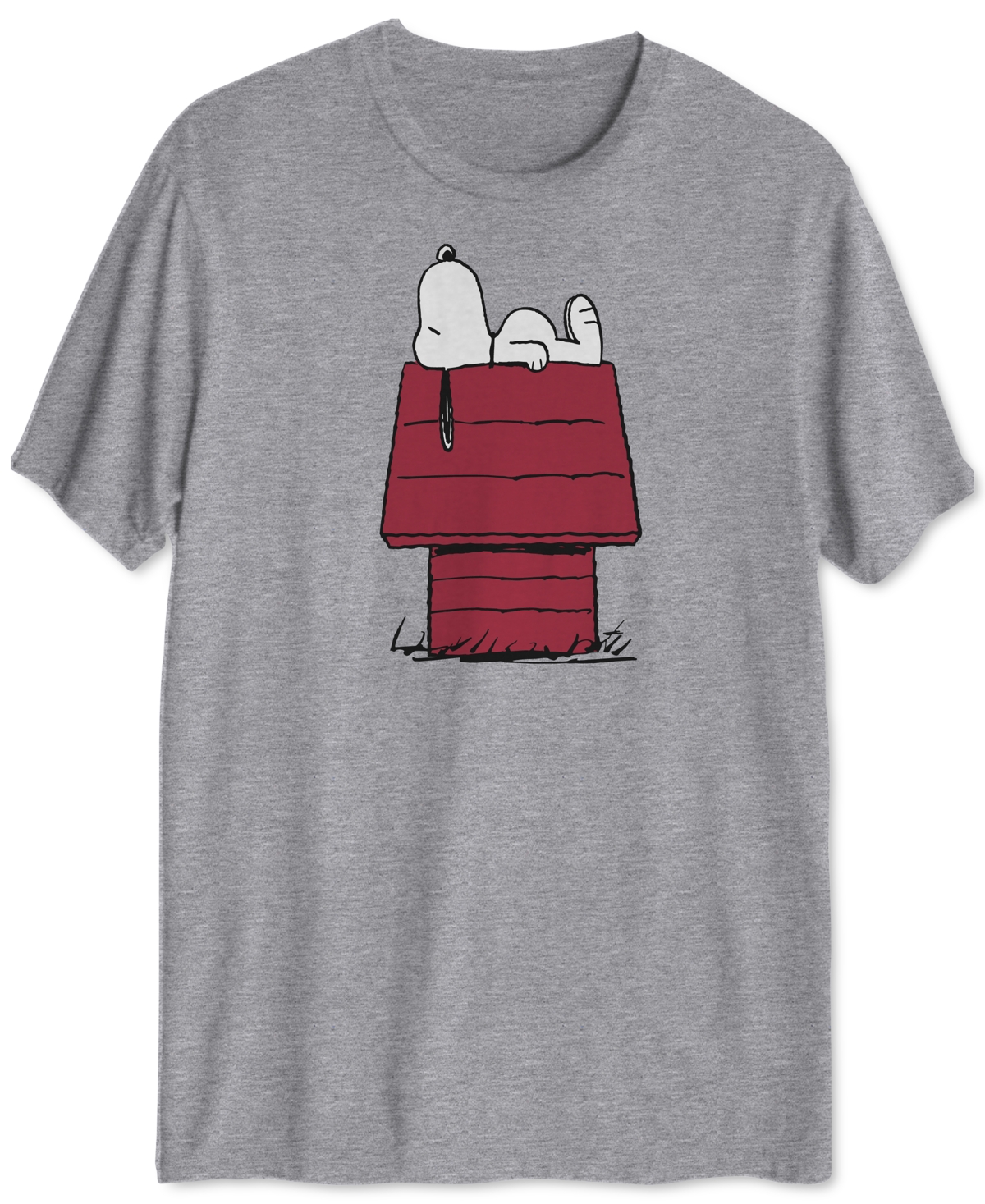 Snoopy Doghouse Men's Graphic T-Shirt - Grey