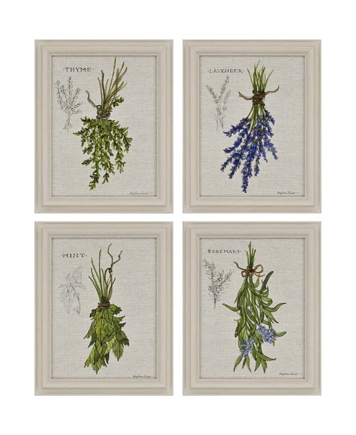Paragon Picture Gallery Paragon Hanging Herbs Framed Wall Art Set of 4 ...