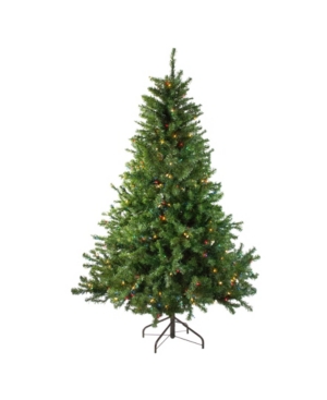 Northlight 6' Pre-lit Canadian Pine Artificial Christmas Tree In Green