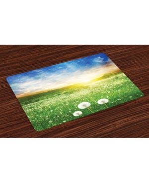 Ambesonne Spring Place Mats Set of 4