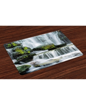 Ambesonne Waterfall Place Mats Set of 4